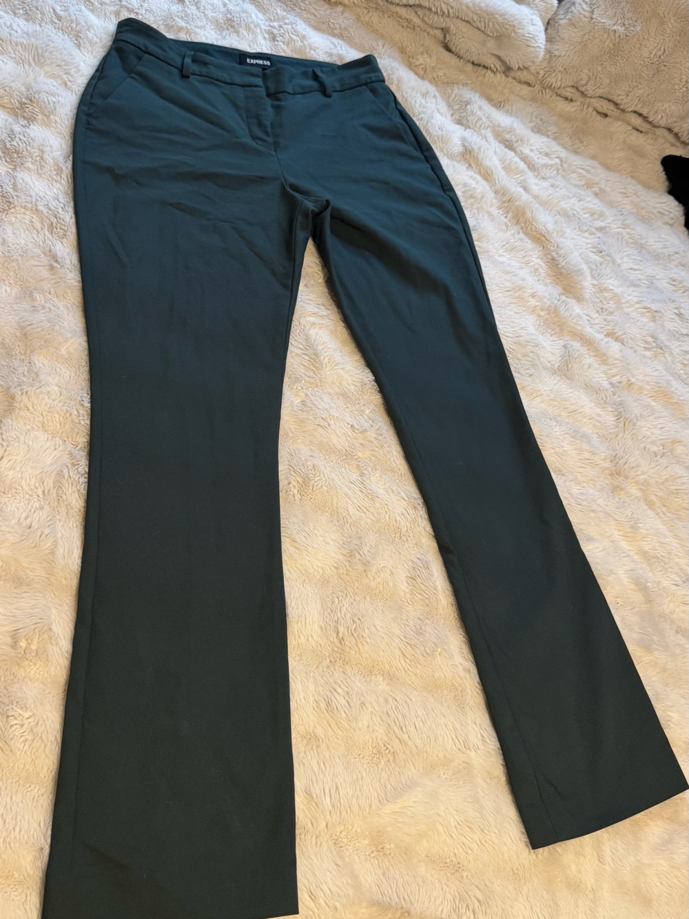 Express Dark Green Dress Pants 8